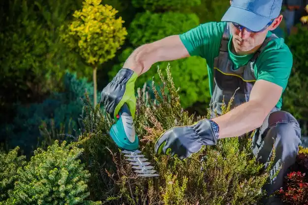 landscaping services Pasadena Park